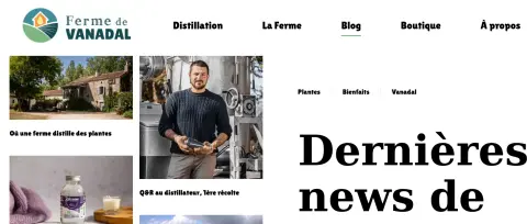 Capture d'écran d'une page du site
