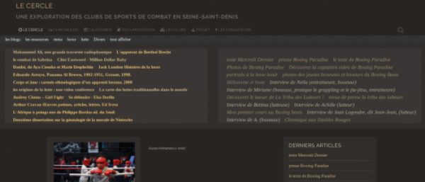 Capture d'écran d'une page du site