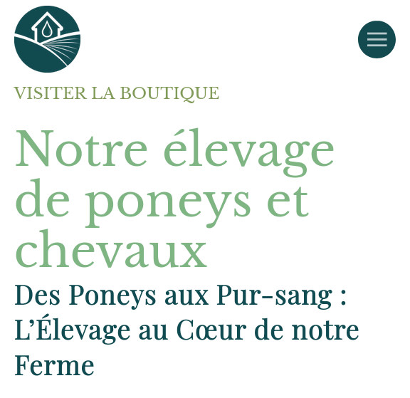 Capture d'écran d'une page du site