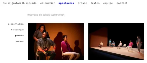 Capture d'écran d'une page du site