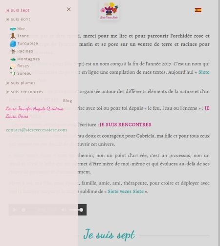 Capture d'écran d'une page du site